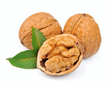 Dried walnut 