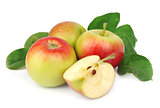 summer apple fruits