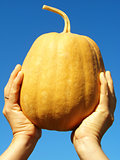 hand with pumpkin
