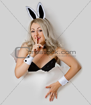 Girl - sexy rabbit playful looks from a hole