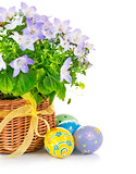 easter eggs with spring flower in basket