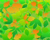 Abstract background leaves vector.