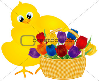 Easter Chick with Tulips Basket Illustration