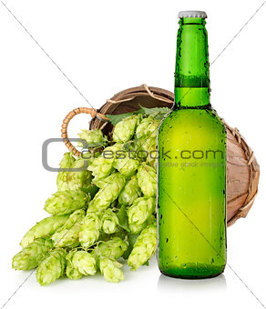 Beer and hops in basket
