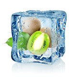 Ice cube and kiwi