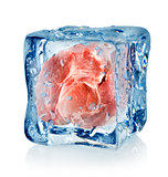 Ice cube and pork