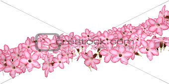 Stream of pink flowers