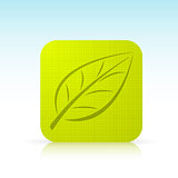 Vector green leaf icon 