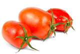 Red tomatoes