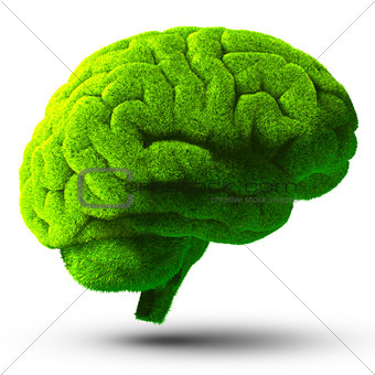 Green brain