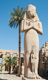 Statue in Karnak temple Luxor