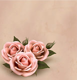 Retro background with beautiful pink roses with buds. Vector ill