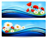 Nature banners with color flowers. Vector.