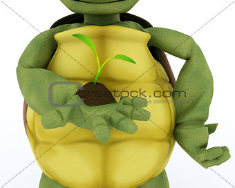 tortoise nurturing a  seedling plant 