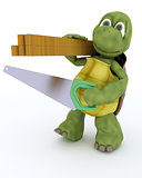 tortoise carpenter contractor