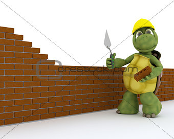 tortoise building contractor
