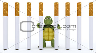 tortoise escaping cigarette prison
