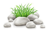 green grass in stones as landscape design element