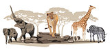 African Animals