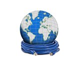 Network cable and globe