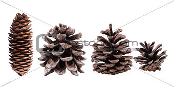 Cones collection isolated on white