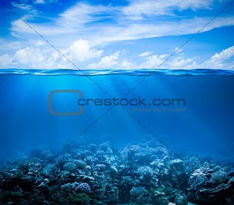 Underwater coral reef seabed view with horizon and water surface