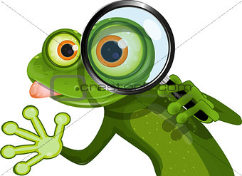 Frog and magnifying glass