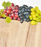 types of grapes on wood
