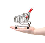 Shopping Cart on Hand