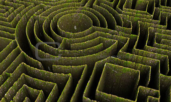 green maze