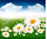 Nature background with beautiful flowers and blue sky. Vector illustration.