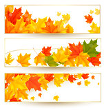 Three autumn banners with colorful leaves. Vector.