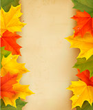 Autumn leaves with old paper. Back to school. Vector.