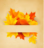 Colorful autumn leaves on a old paper Back to school background Vector