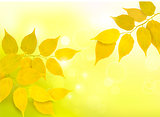 Nature background with autumn yellow leaves . Vector