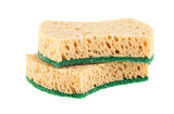Pair of sponges