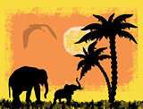 African safari theme with elephants