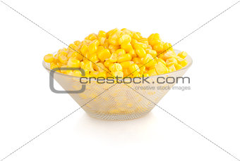 corn isolated on white