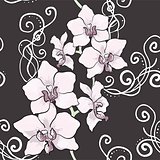 Seamless floral pattern with orchid