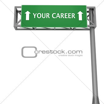 Your career