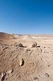 Judean Desert