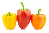 Fresh Colored Peppers / Paprika / Isolated 