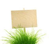 Empty Wooden Sign with Fresh Green Grass / isolated on white