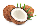Sweet coconuts