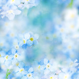 Fantasy Gentle Floral Background / Blue Flowers Defocused