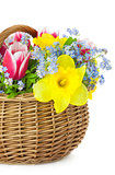 Bouquet of Spring Flowers in Basket  / isolated 