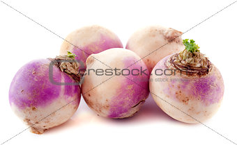freshly turnips