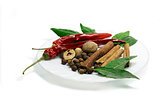 Spices on white background