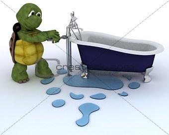 tortoise plumbing contractor