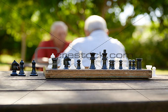 Active retired people, two old friends playing chess at park